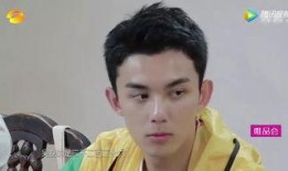 阚清子综艺爆料了吗视频,揭秘娱乐圈不为人知的一面