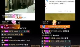 平江最新爆料事件视频播放,视频揭秘事件真相，引发网友热议