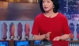 明星爆料圈视频,明星爆料视频背后的真相与内幕